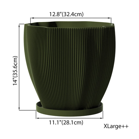 Avocado Green Coconut