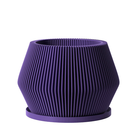 Lavender Echo