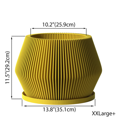 Lemon Yellow Echo