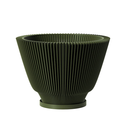 Avocado Green Dawn