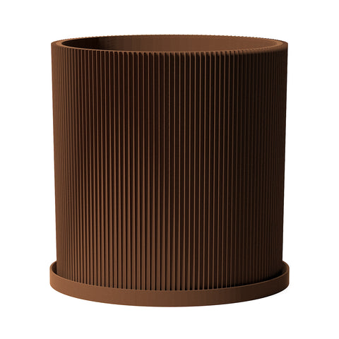 Nut Brown Ray