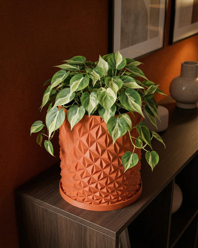 Terracotta Orange Knurl