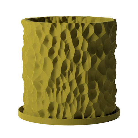 Pear Green Terra