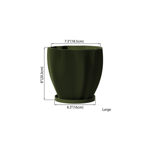Avocado Green Coconut