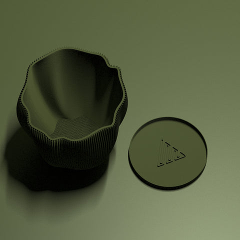 Avocado Green Coconut