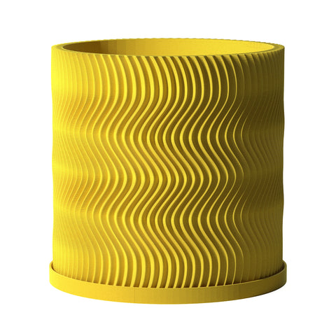 Lemon Yellow Uma