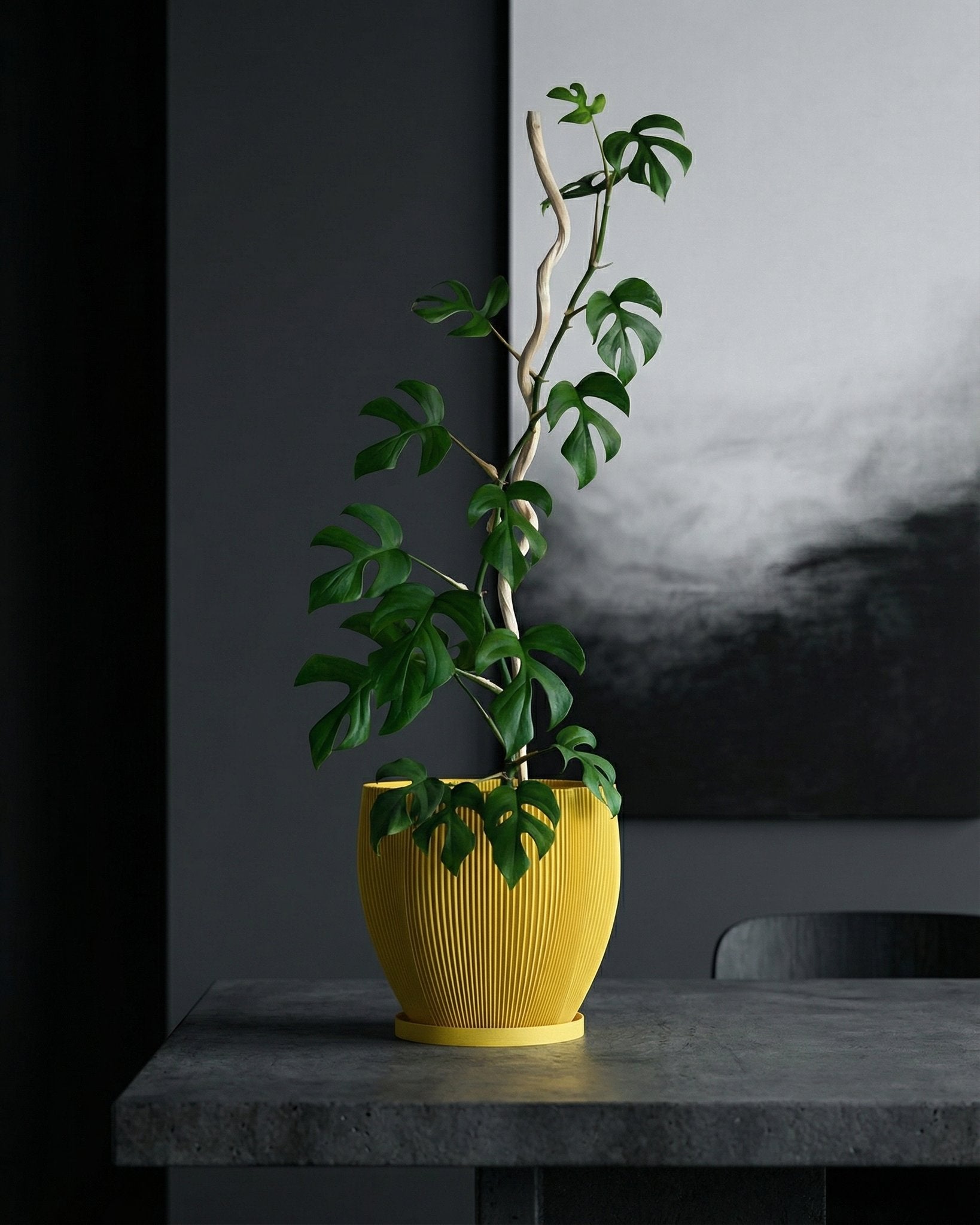 Planter Pot With Drainage, Saucer Included - Coconut – Tectle