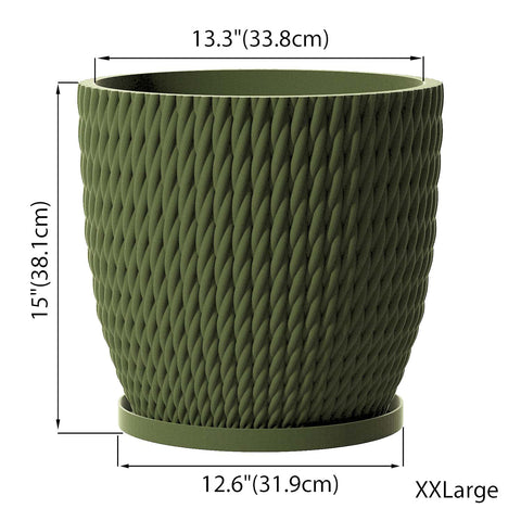 Avocado Green Vine
