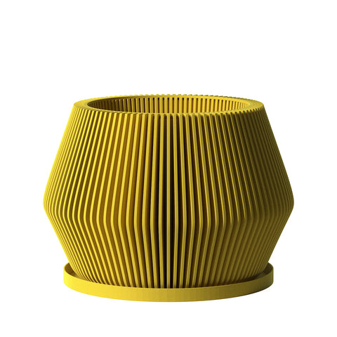 Lemon Yellow Echo