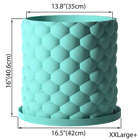 Sky Blue Bubble