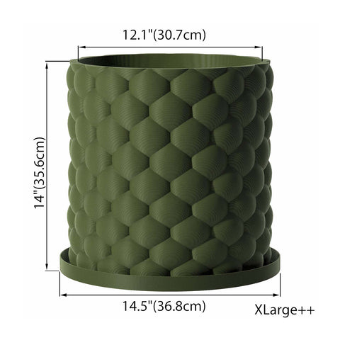 Avocado Green Bubble