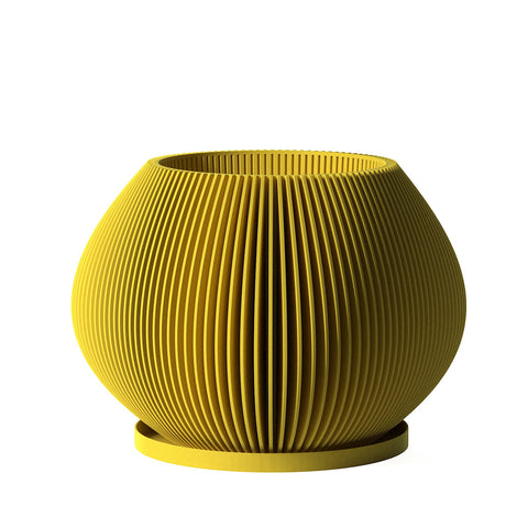 Lemon Yellow Luna