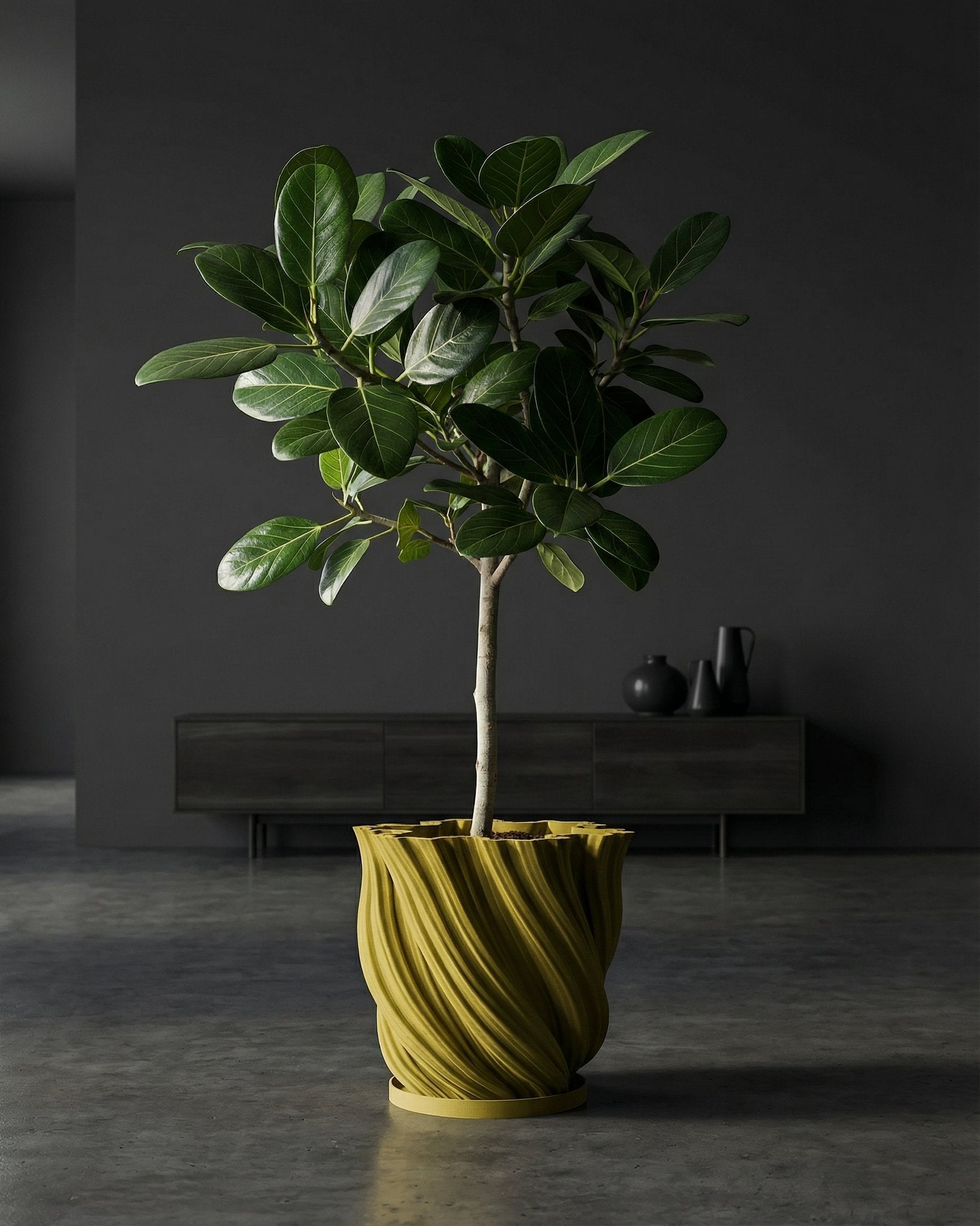 dark green plants indoor Planter Pot With Drainage, Saucer Included