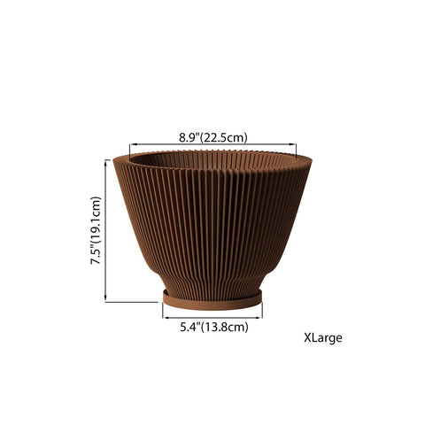 Nut Brown Dawn