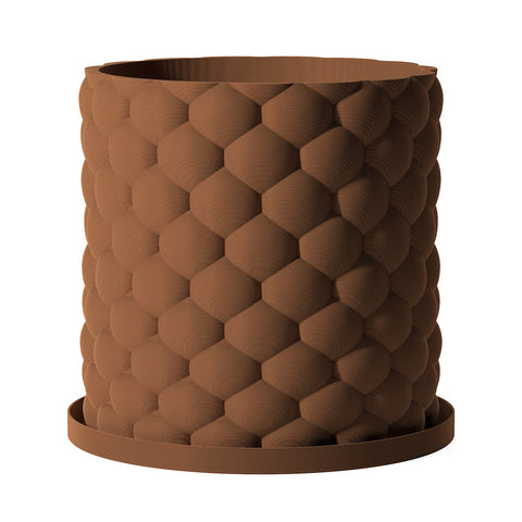 Nut Brown Bubble