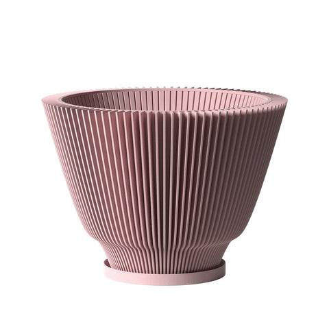 Candy Pink Dawn