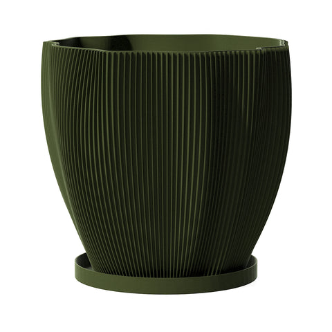 Avocado Green Coconut