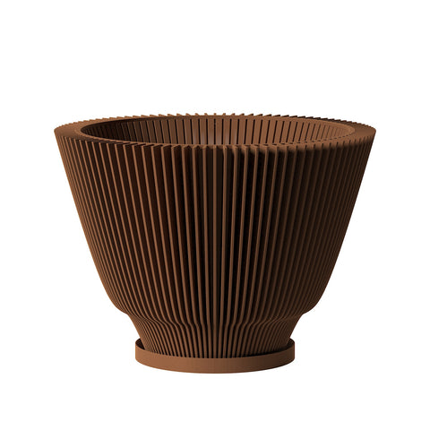 Nut Brown Dawn
