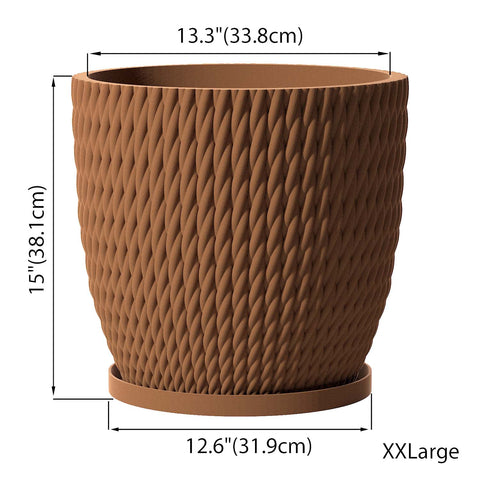 Nut Brown Vine