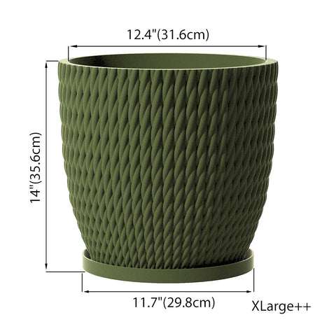 Avocado Green Vine