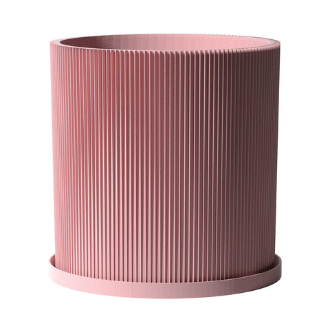 Candy Pink Ray