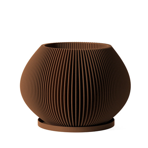 Nut Brown Luna