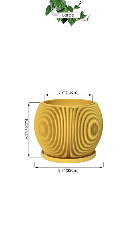 Lemon Yellow Melon
