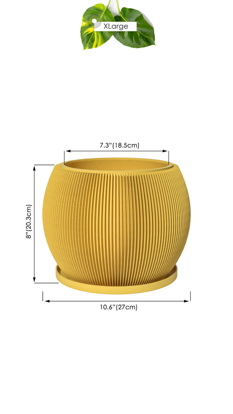 Lemon Yellow Melon