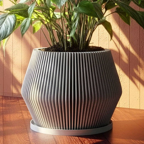 Echo