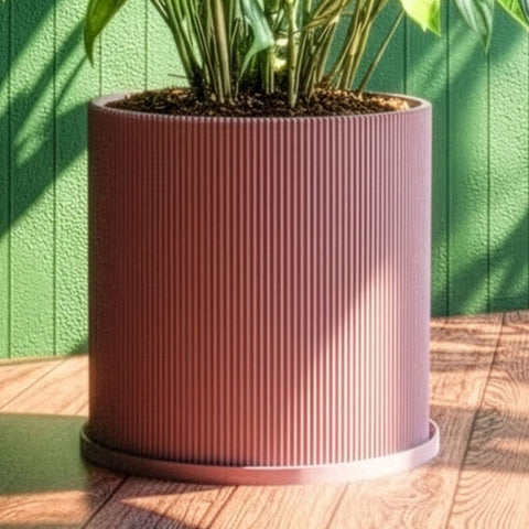 Ray