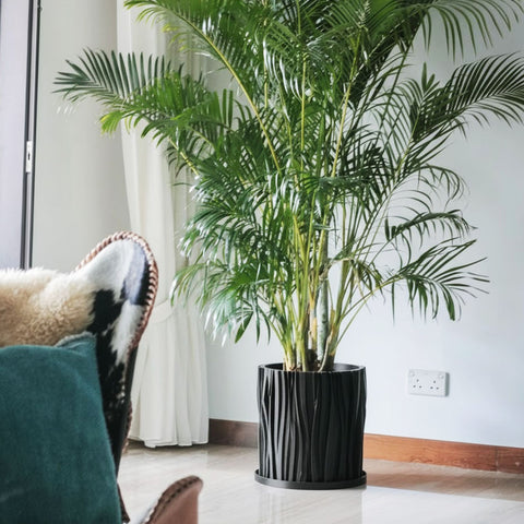 Charcoal Black Groove