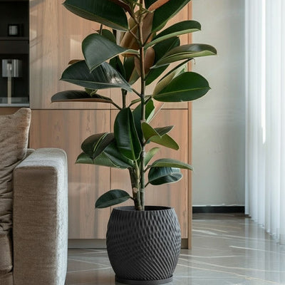 Charcoal Black Ripple