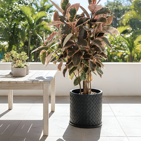 Charcoal Black Weave