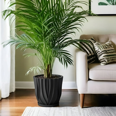 Charcoal Black Zephyr