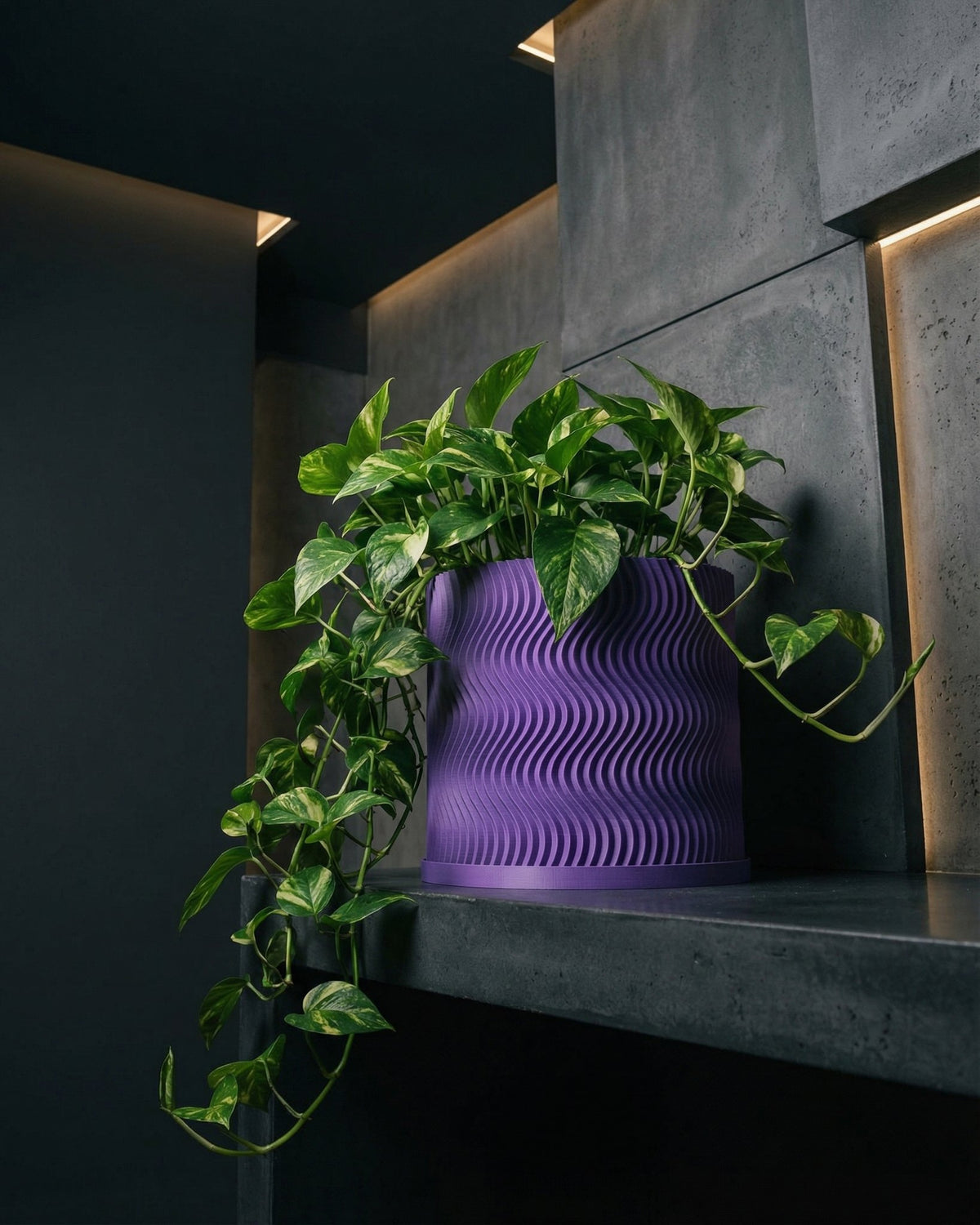 A purple planter pot with a wavy design sits on a gray shelf, filled with a lush green plant.