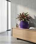 A purple planter pot with a plant inside sits on a dark gray table in a room with dark gray walls and a dark gray floor. The planter pot is ribbed and has a flared shape. The plant has green leaves with white spots and red undersides.