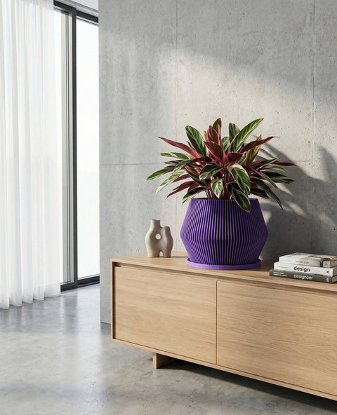 A purple planter pot with a plant inside sits on a dark gray table in a room with dark gray walls and a dark gray floor. The planter pot is ribbed and has a flared shape. The plant has green leaves with white spots and red undersides.