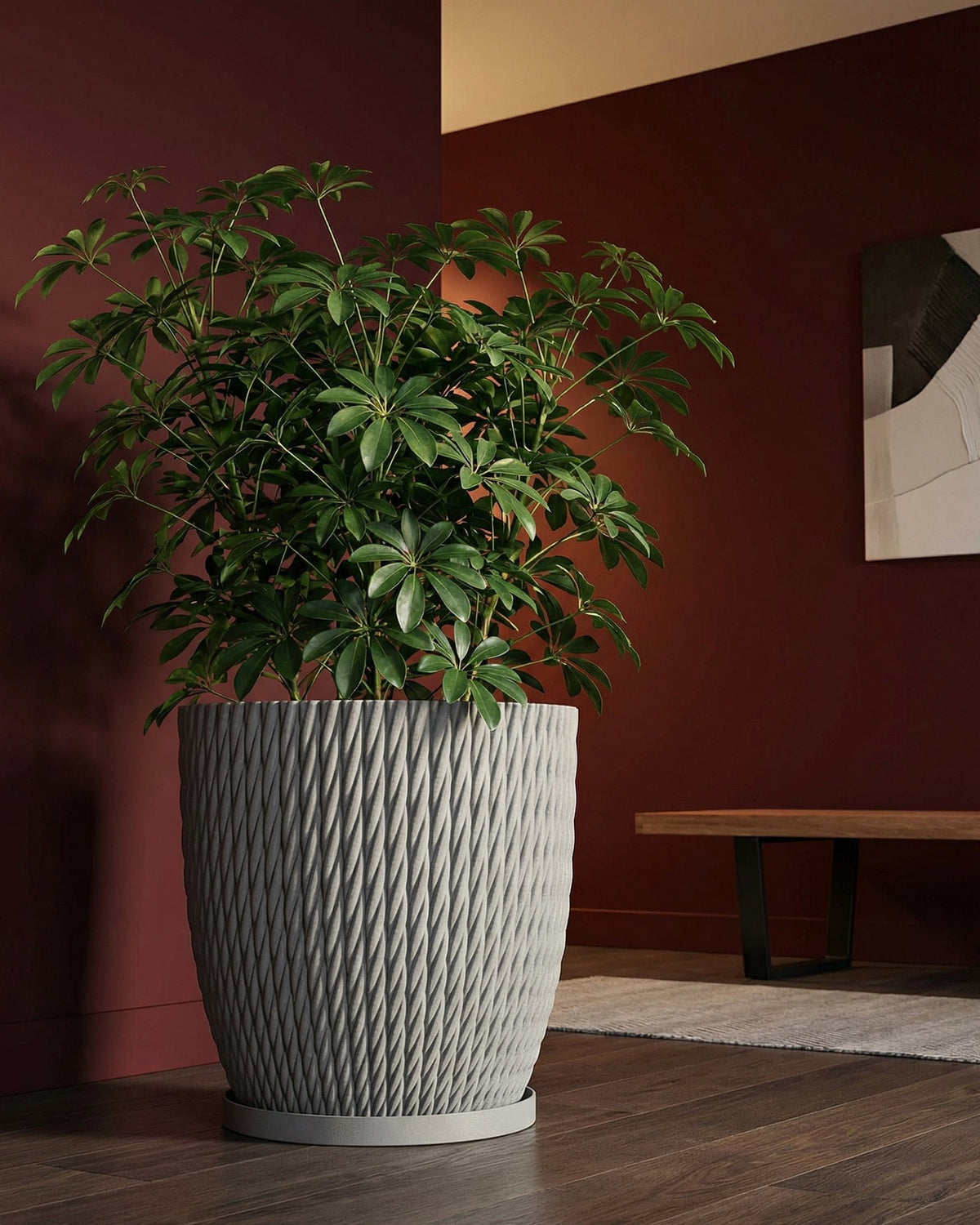 A large green plant sits in a gray textured planter pot on a dark wood floor. The pot has a woven design.