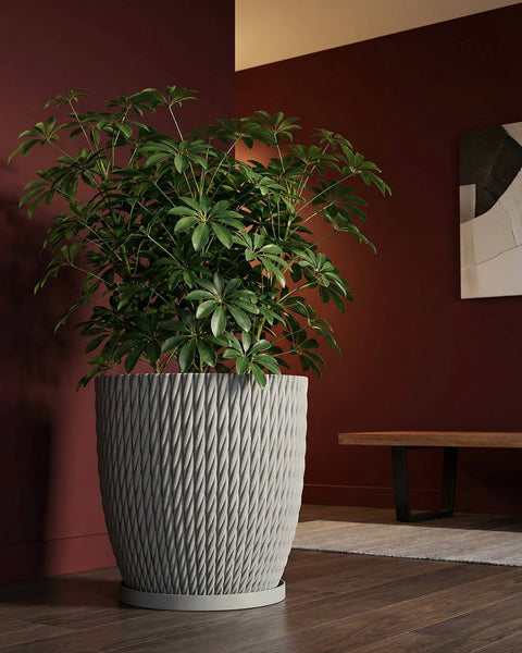 A large green plant sits in a gray textured planter pot on a dark wood floor. The pot has a woven design.