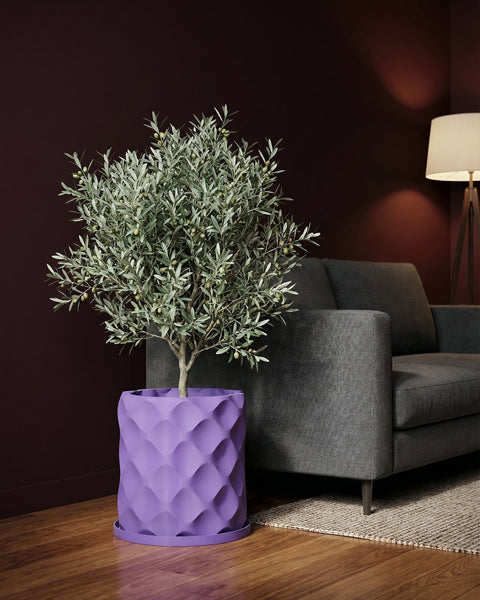 A purple planter pot with a small olive tree sits next to a gray couch on a wooden floor.