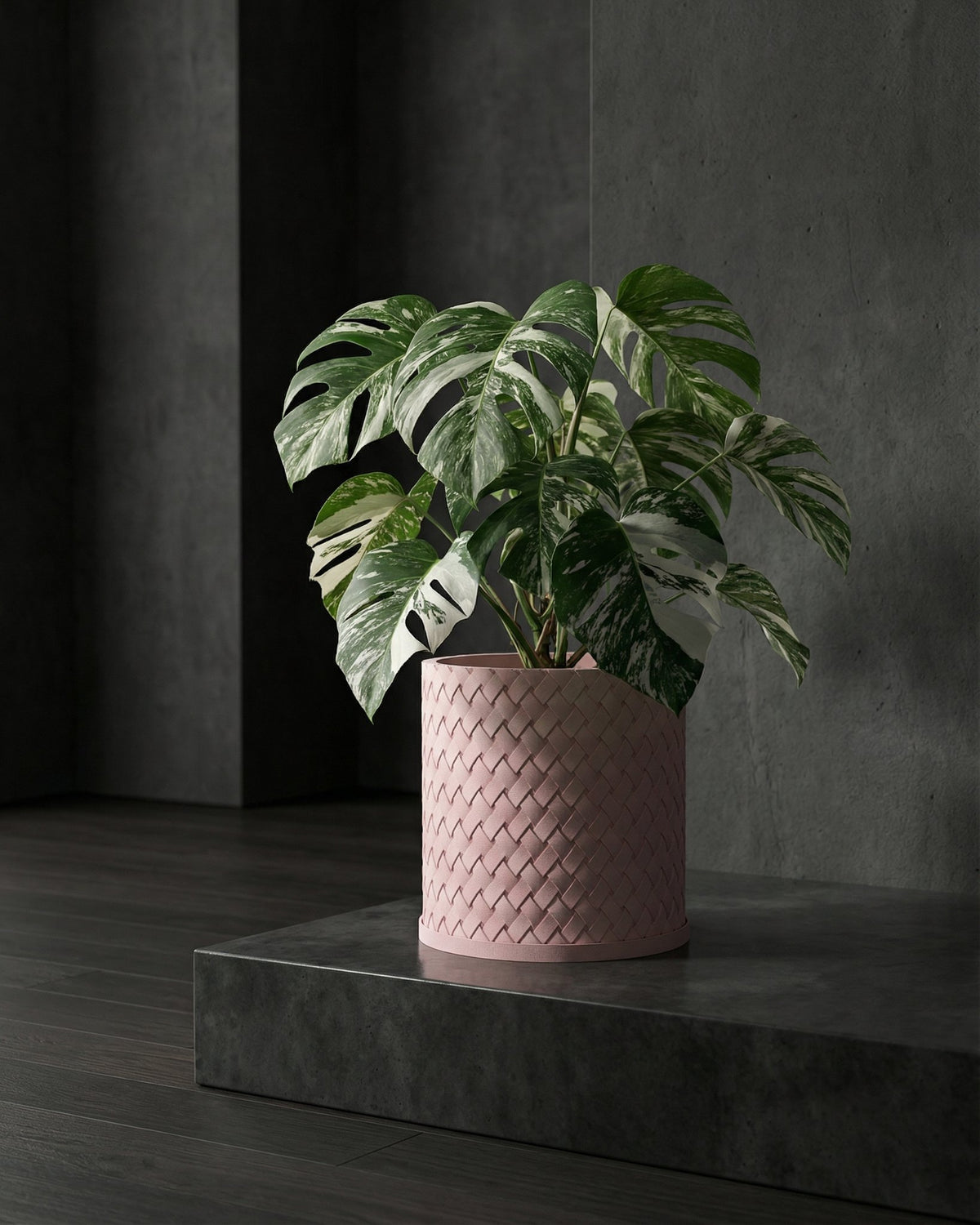 A Monstera plant in a pink woven planter pot sits on a dark gray platform against a dark gray wall.
