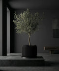 A black planter pot with a green plant sits on a wooden table next to a gray couch and lamp.