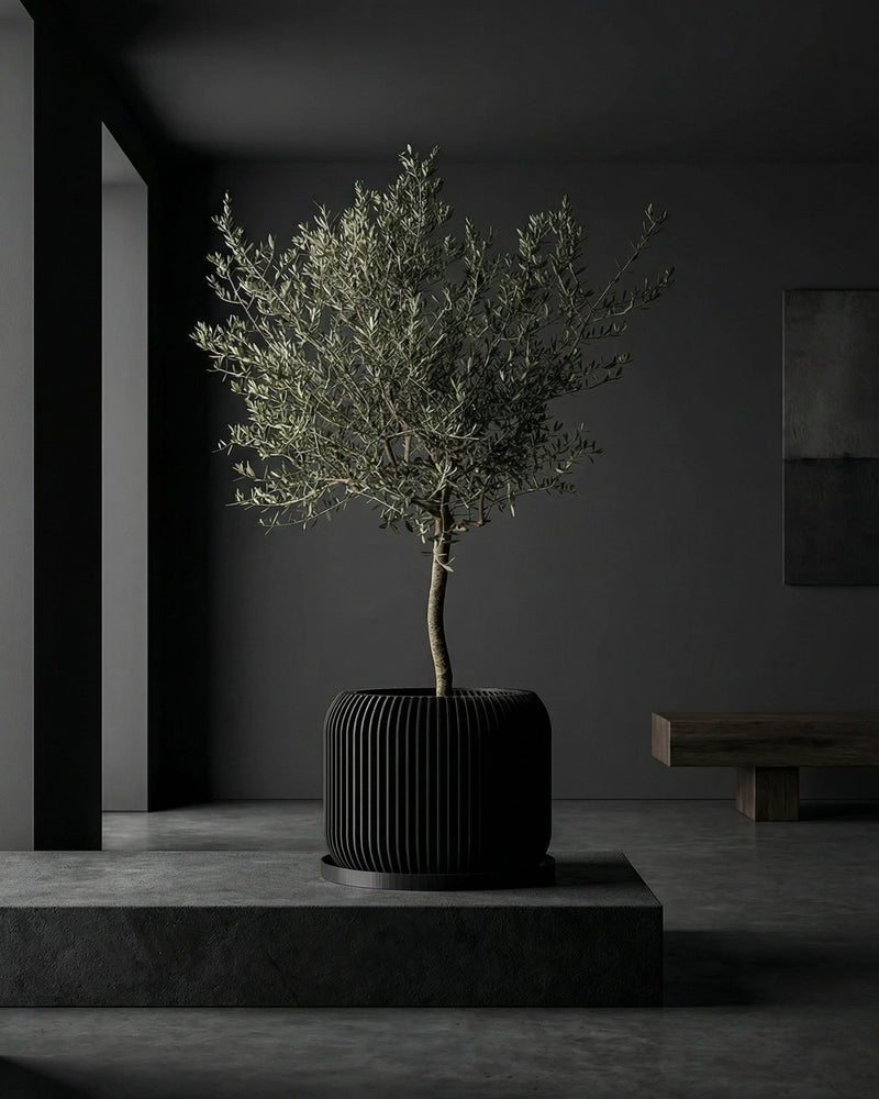 A black planter pot with a green plant sits on a wooden table next to a gray couch and lamp.