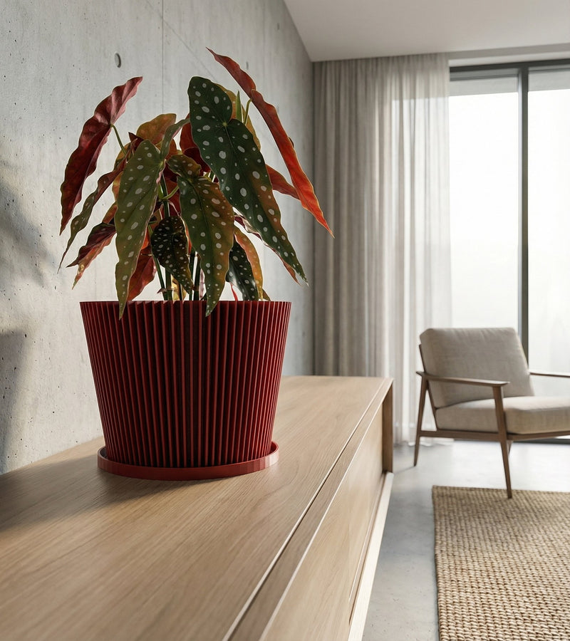 A vibrant pothos plant cascades from a red, textured planter pot, set on a dark windowsill bathed in sunlight.