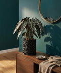 A black planter pot with a textured surface sits on a wooden cabinet next to a round mirror.