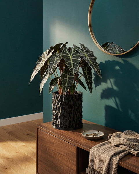 A black planter pot with a textured surface sits on a wooden cabinet next to a round mirror.