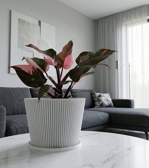 A white geometric planter pot with a green houseplant sits on a wooden table against a yellow wall.