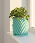 A light blue planter pot with a green ivy plant sits on a white windowsill next to a window.