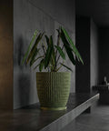 A green planter pot with a plant in it sits on a dark gray shelf against a dark gray wall.