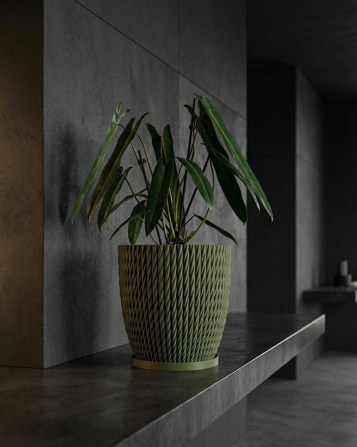A green planter pot with a plant in it sits on a dark gray shelf against a dark gray wall.